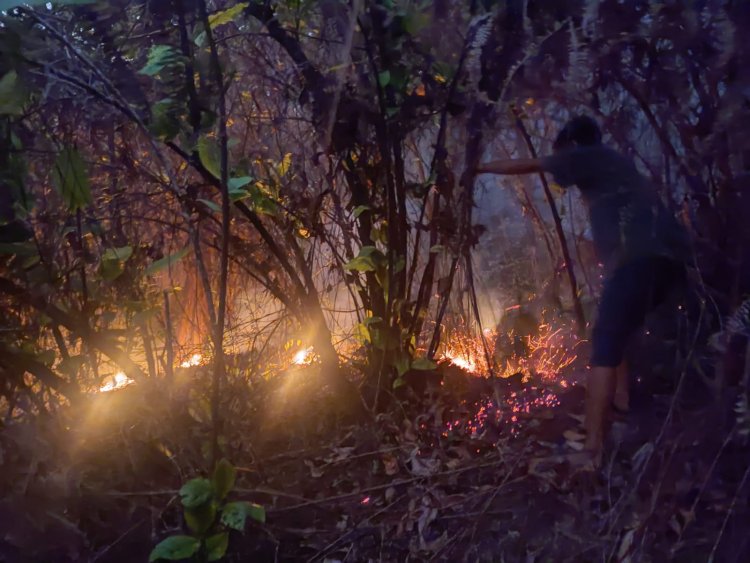Bukit Jalan Murai Kelurahan Aek Manis Terbakar, Api Lahap Seluas 1 Hektare