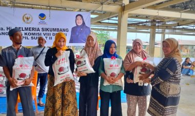 Anggota DPR RI Delmeria H Salurkan 3 Ton Beras di Hajoran